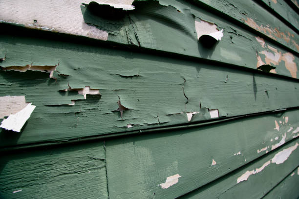 Trusted Tuckahoe, VA Siding Installation & Repair Experts